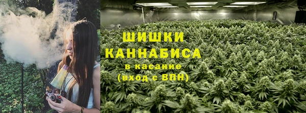 PSILOCYBIN Баксан