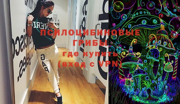 PSILOCYBIN Баксан