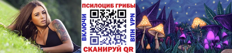 гидра зеркало  закладка  Заозёрный  Псилоцибиновые грибы GOLDEN TEACHER 